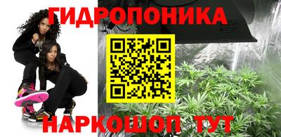 экстази Гусев
