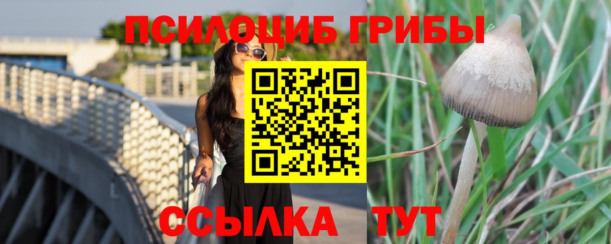 Галлюциногенные грибы Magic Shrooms  Псилоцибиновые грибы Psilocybine cubensis  Вход с VPN  продажа наркотиков  Краснотурьинск 